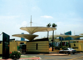 项城膜结构案例